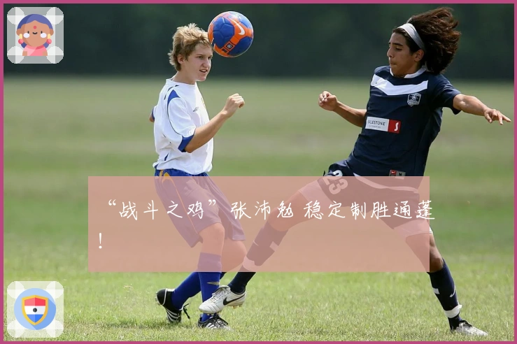 “战斗之鸡”张沛勉 稳定制胜通蓬！