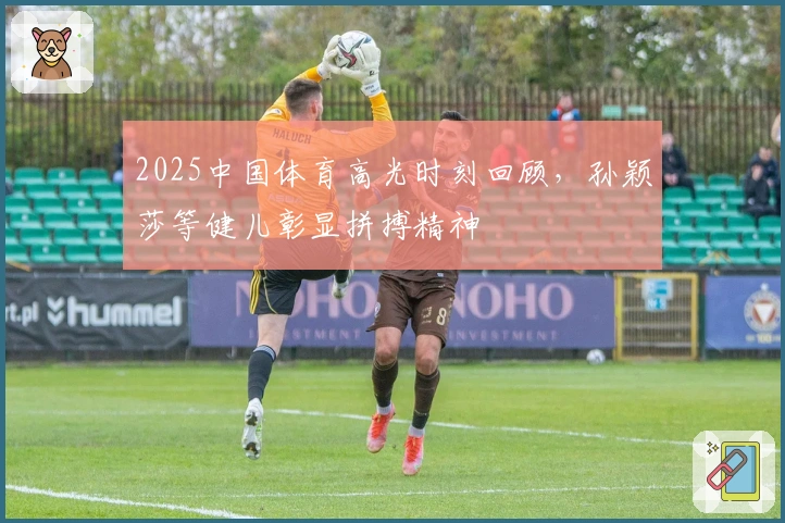 2025中国体育高光时刻回顾，孙颖莎等健儿彰显拼搏精神